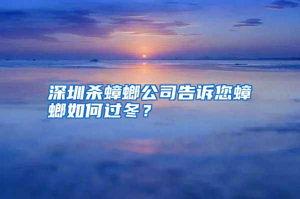 深圳殺蟑螂公司告訴您蟑螂如何過冬？