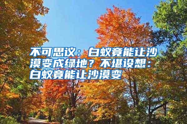 不可思議：白蟻竟能讓沙漠變成綠地？不堪設想：白蟻竟能讓沙漠變