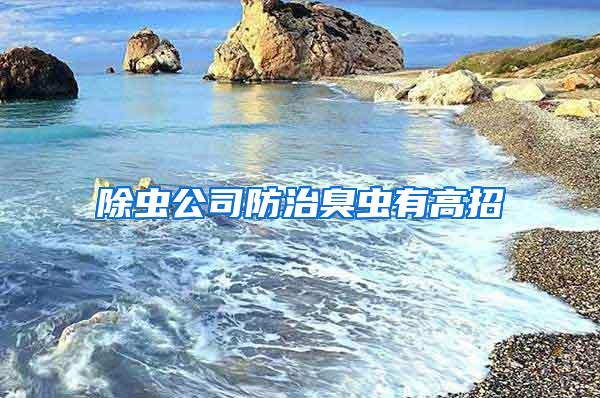 除蟲公司防治臭蟲有高招