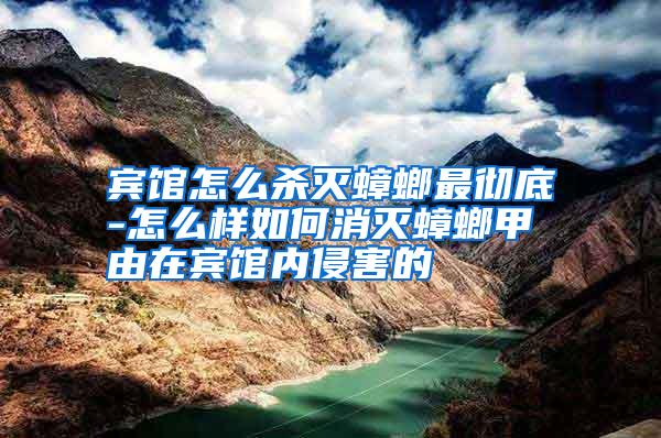 賓館怎么殺滅蟑螂最徹底-怎么樣如何消滅蟑螂甲由在賓館內(nèi)侵害的