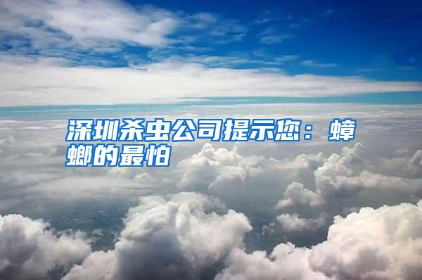 深圳殺蟲公司提示您：蟑螂的最怕