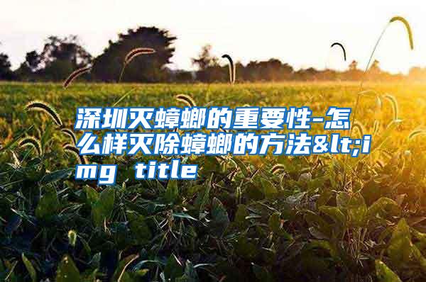 深圳滅蟑螂的重要性-怎么樣滅除蟑螂的方法<img title