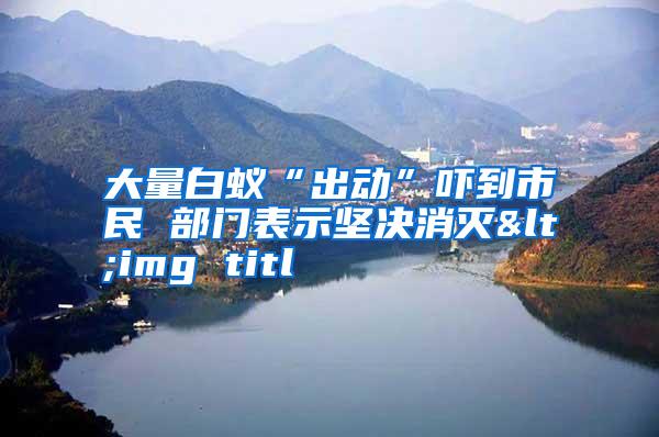 大量白蟻“出動(dòng)”嚇到市民 部門(mén)表示堅(jiān)決消滅<img titl