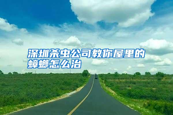 深圳殺蟲(chóng)公司教你屋里的蟑螂怎么治