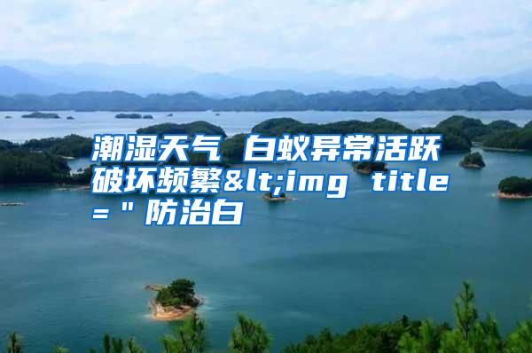 潮濕天氣 白蟻異?；钴S破壞頻繁<img title=＂防治白