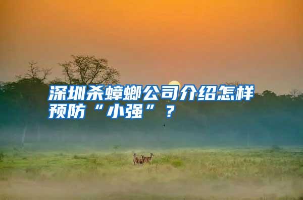 深圳殺蟑螂公司介紹怎樣預(yù)防“小強(qiáng)”？