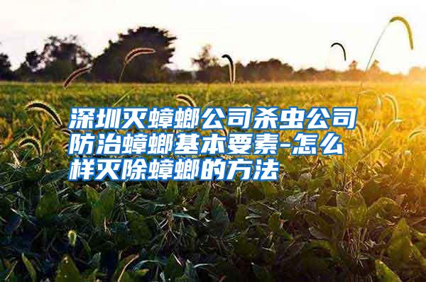 深圳滅蟑螂公司殺蟲公司防治蟑螂基本要素-怎么樣滅除蟑螂的方法