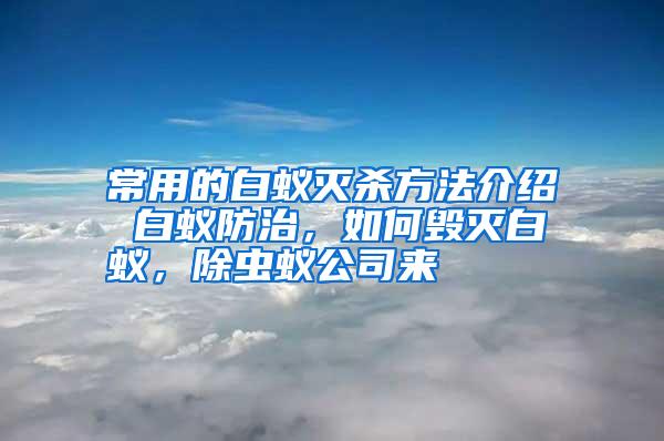 常用的白蟻滅殺方法介紹 白蟻防治，如何毀滅白蟻，除蟲蟻公司來