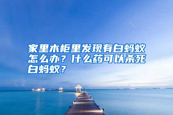 家里木柜里發(fā)現(xiàn)有白螞蟻怎么辦？什么藥可以殺死白螞蟻？