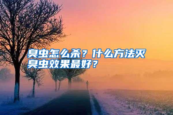 臭蟲(chóng)怎么殺？什么方法滅臭蟲(chóng)效果最好？