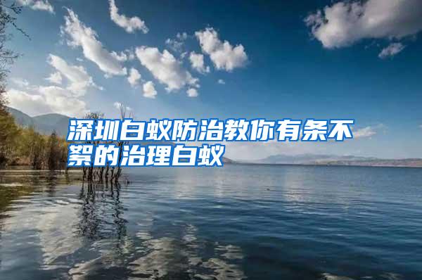 深圳白蟻防治教你有條不絮的治理白蟻