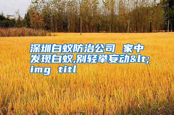 深圳白蟻防治公司 家中發(fā)現(xiàn)白蟻,別輕舉妄動(dòng)<img titl