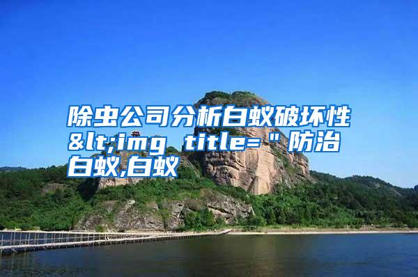 除蟲公司分析白蟻破壞性<img title=＂防治白蟻,白蟻