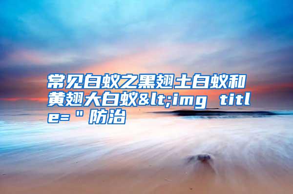 常見白蟻之黑翅土白蟻和黃翅大白蟻<img title=＂防治