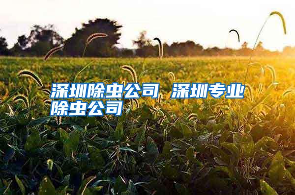 深圳除蟲公司 深圳專業(yè)除蟲公司