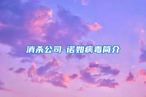 消殺公司-諾如病毒簡介