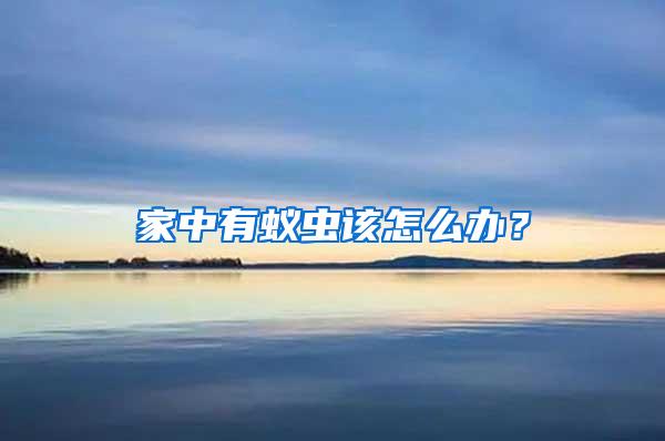 家中有蟻蟲(chóng)該怎么辦？