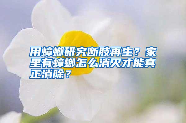 用蟑螂研究斷肢再生？家里有蟑螂怎么消滅才能真正消除？