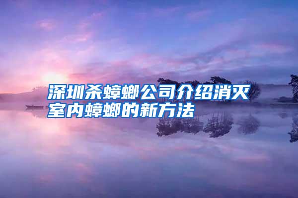 深圳殺蟑螂公司介紹消滅室內(nèi)蟑螂的新方法