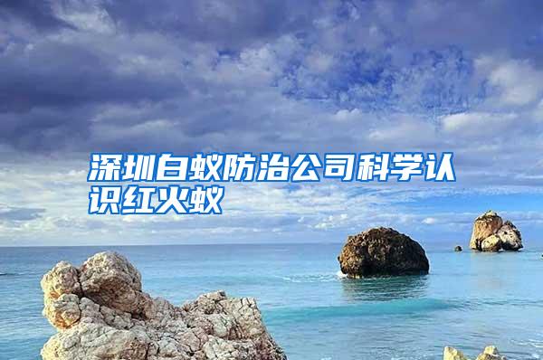 深圳白蟻防治公司科學(xué)認(rèn)識紅火蟻