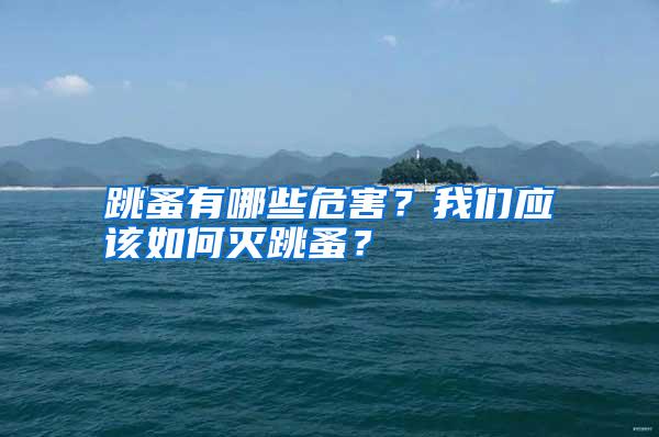 跳蚤有哪些危害？我們應(yīng)該如何滅跳蚤？