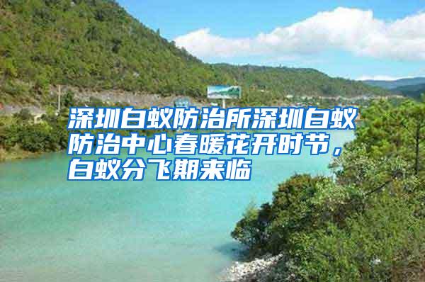 深圳白蟻防治所深圳白蟻防治中心春暖花開時(shí)節(jié)，白蟻分飛期來臨