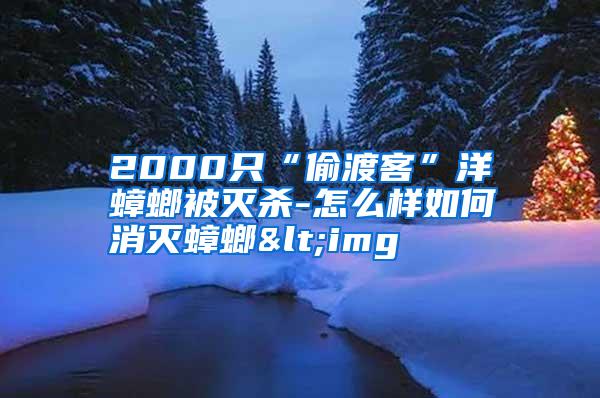 2000只“偷渡客”洋蟑螂被滅殺-怎么樣如何消滅蟑螂<img