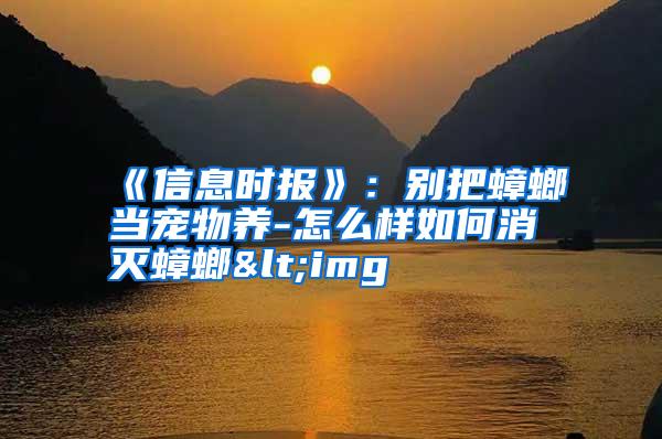 《信息時(shí)報(bào)》：別把蟑螂當(dāng)寵物養(yǎng)-怎么樣如何消滅蟑螂<img