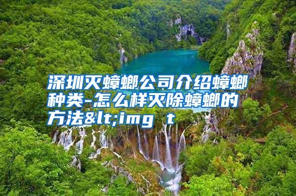 深圳滅蟑螂公司介紹蟑螂種類(lèi)-怎么樣滅除蟑螂的方法<img t