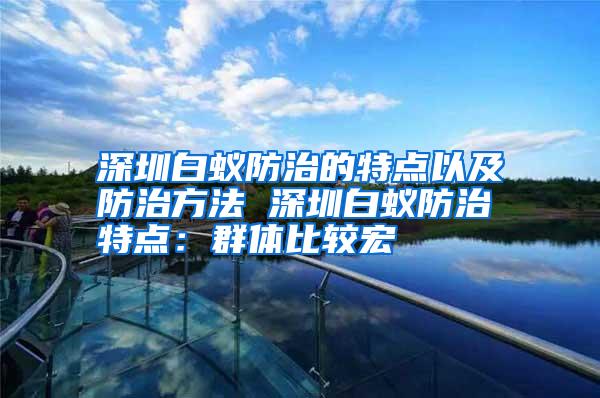 深圳白蟻防治的特點以及防治方法 深圳白蟻防治特點：群體比較宏