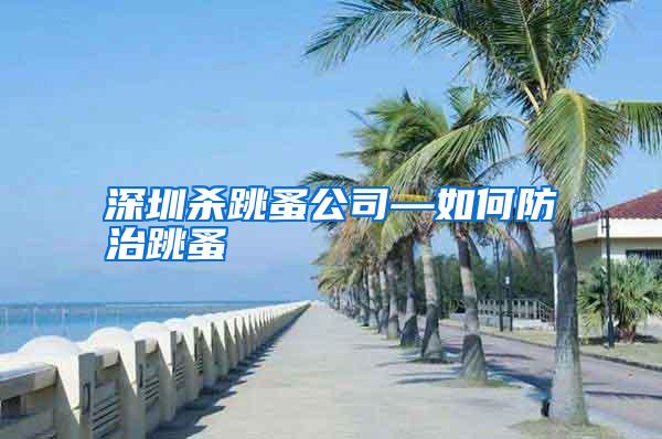 深圳殺跳蚤公司—如何防治跳蚤