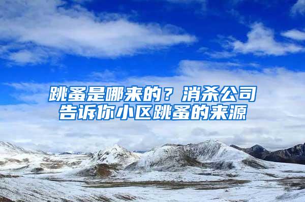 跳蚤是哪來(lái)的？消殺公司告訴你小區(qū)跳蚤的來(lái)源