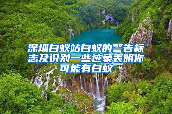 深圳白蟻站白蟻的警告標志及識別一些跡象表明你可能有白蟻