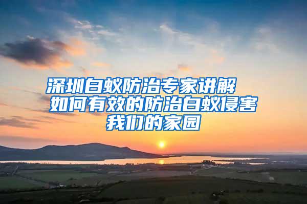 深圳白蟻防治專家講解  如何有效的防治白蟻侵害我們的家園