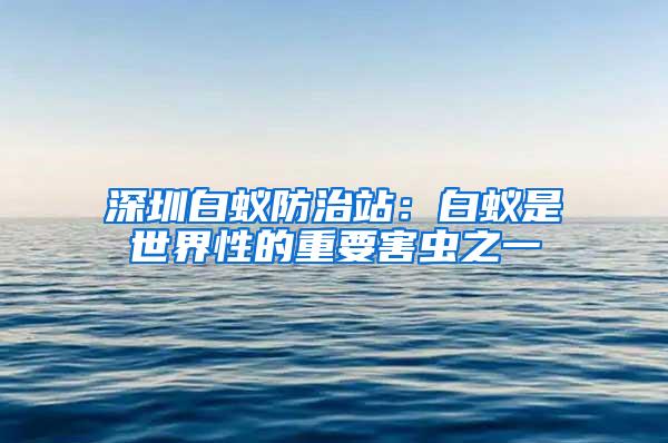 深圳白蟻防治站：白蟻是世界性的重要害蟲之一