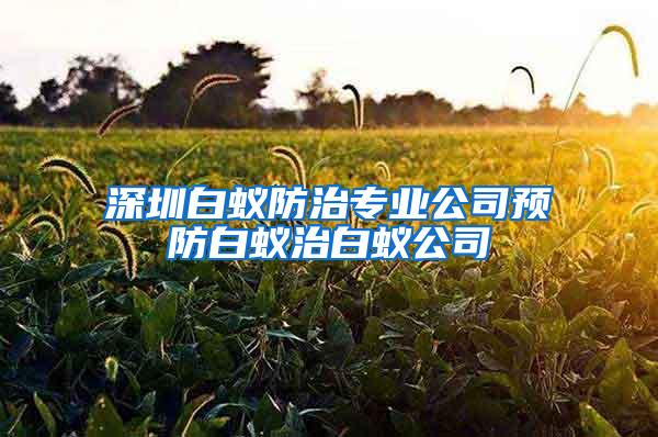 深圳白蟻防治專業(yè)公司預(yù)防白蟻治白蟻公司