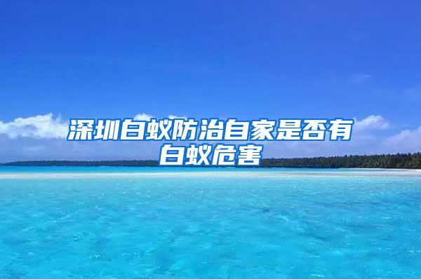 深圳白蟻防治自家是否有白蟻危害