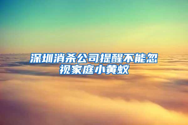 深圳消殺公司提醒不能忽視家庭小黃蟻