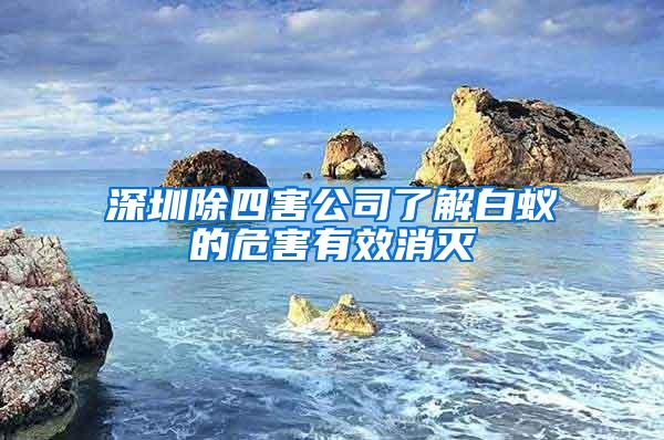 深圳除四害公司了解白蟻的危害有效消滅