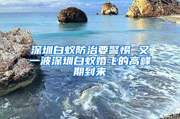 深圳白蟻防治要警惕 又一波深圳白蟻婚飛的高峰期到來