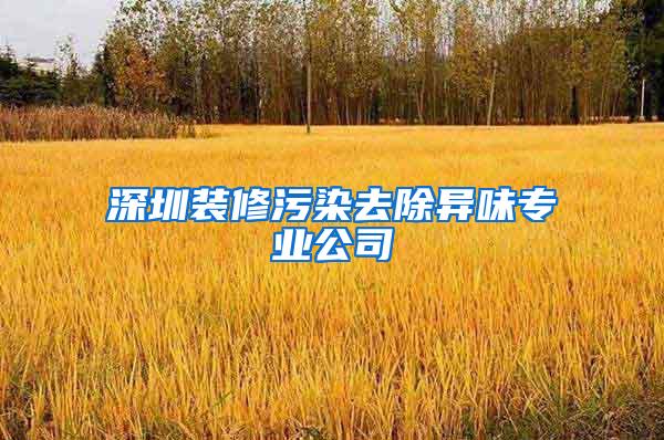 深圳裝修污染去除異味專業(yè)公司