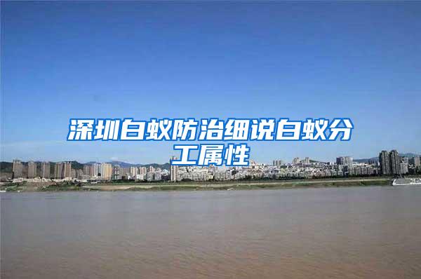 深圳白蟻防治細說白蟻分工屬性