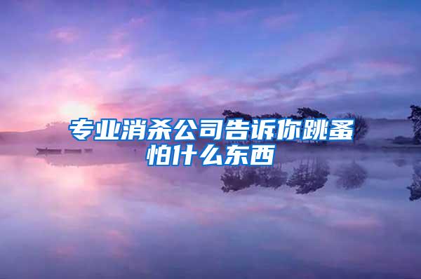 專業(yè)消殺公司告訴你跳蚤怕什么東西