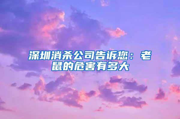 深圳消殺公司告訴您：老鼠的危害有多大