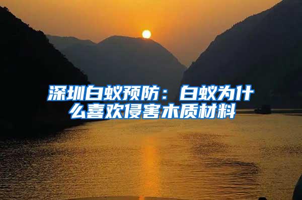 深圳白蟻預防：白蟻為什么喜歡侵害木質材料