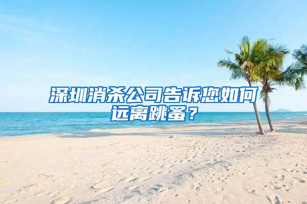 深圳消殺公司告訴您如何遠(yuǎn)離跳蚤？