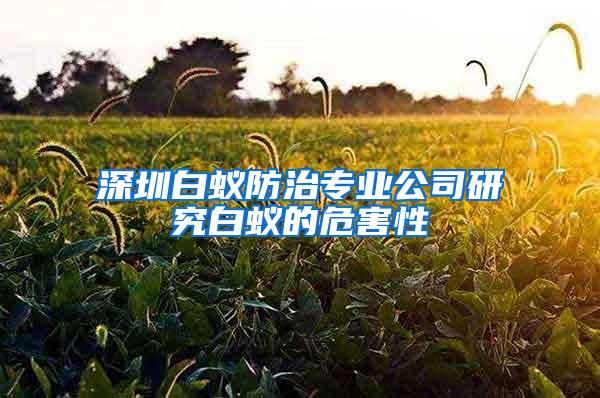 深圳白蟻防治專業(yè)公司研究白蟻的危害性