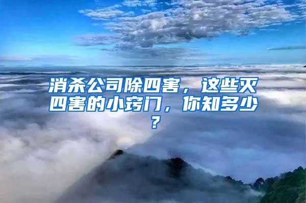 消殺公司除四害，這些滅四害的小竅門，你知多少？