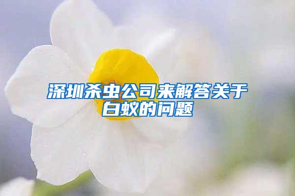 深圳殺蟲公司來解答關(guān)于白蟻的問題