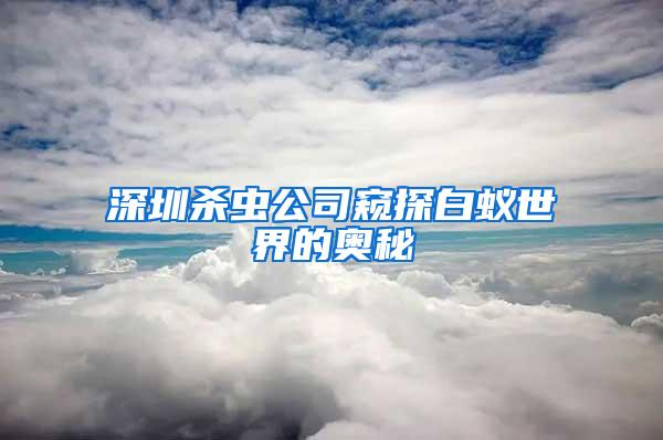 深圳殺蟲公司窺探白蟻世界的奧秘